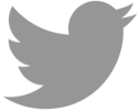 twitter logo